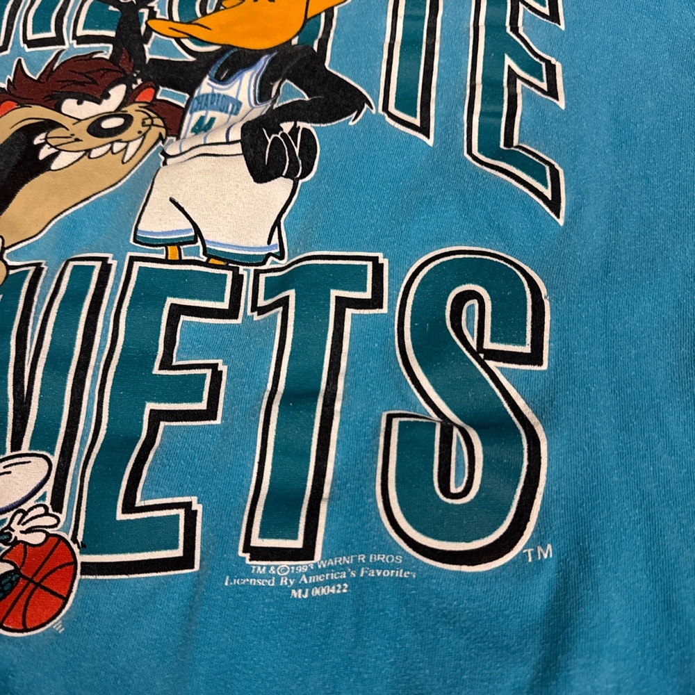 Vintage 90s Warner Bros NBA Charlotte Hornets Looney Tunes T Shirt Taz Daffy - Picture 6 of 6